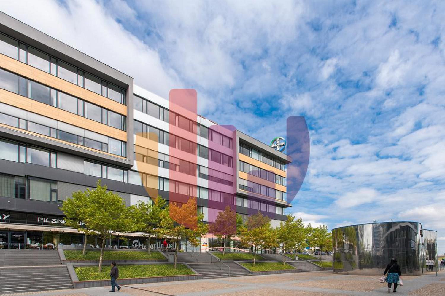 Pronájem kanceláře 442 m²