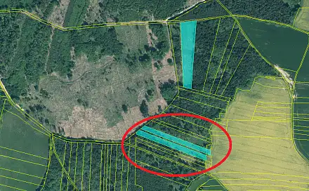 Prodej lesa 7 415 m², Stehlovice, okres Písek