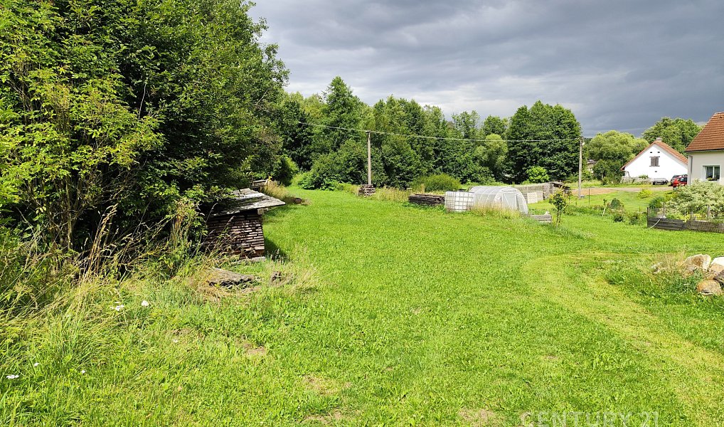 Prodej zahrady 4 886 m², Včelnička – náhled fotky 5