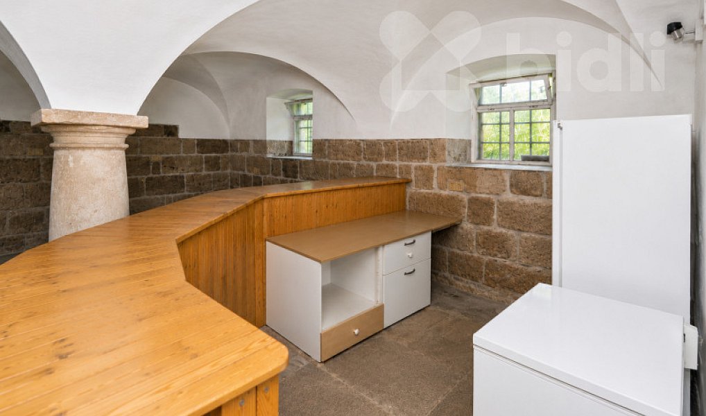 Prodej chaty/chalupy 765 m² s pozemkem 15 104 m², Božanov – náhled fotky 2