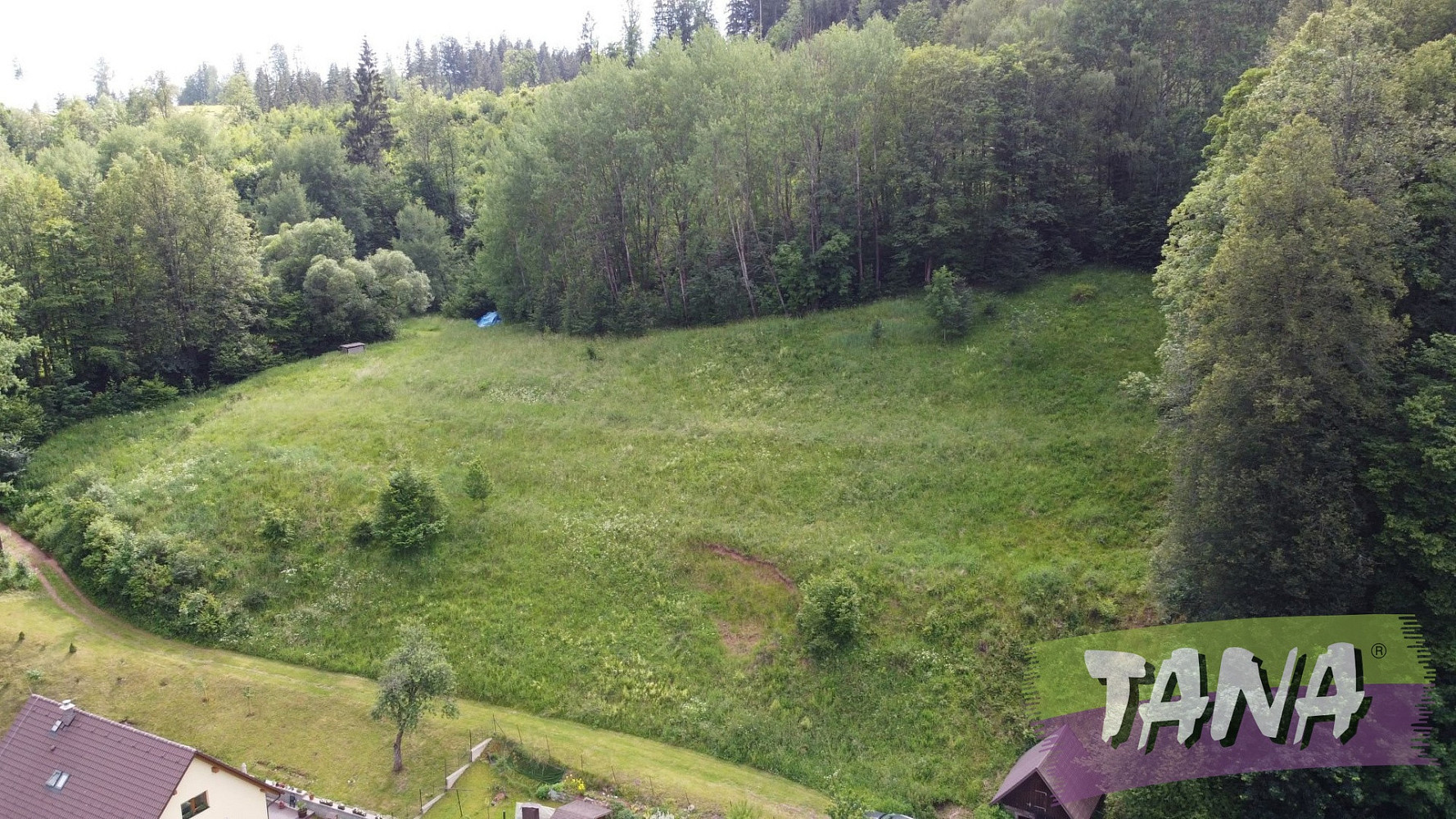 Prodej louky 5 736 m² – fotografie 2