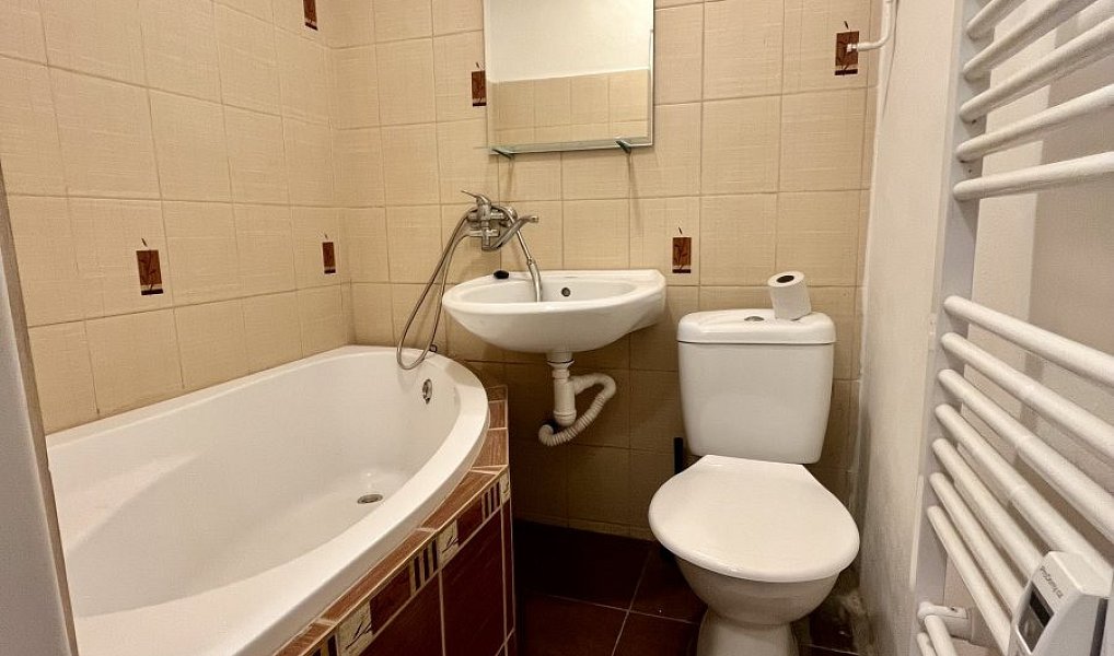Pronájem bytu 1+1 29 m², Ostrava – náhled fotky 7
