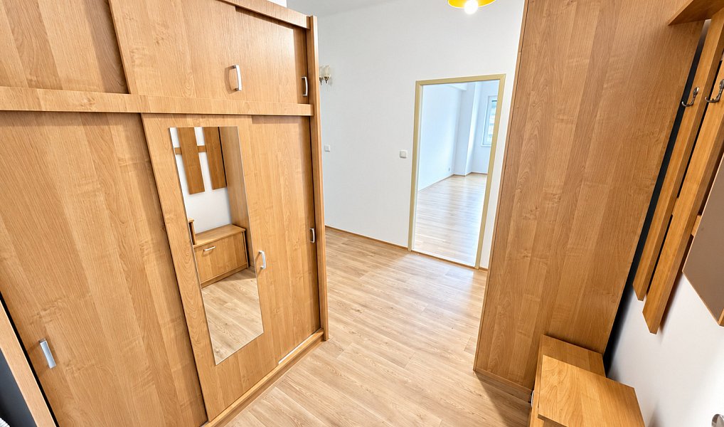 Pronájem bytu 2+kk 50 m², Praha – náhled fotky 5
