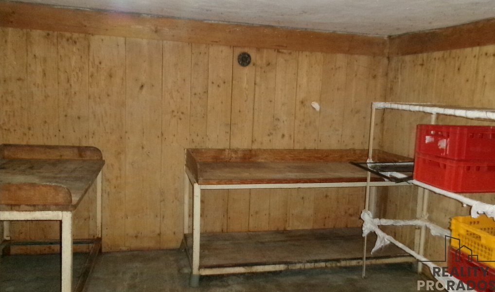 Pronájem výrobních prostor 120 m², Střelice – náhled fotky 5