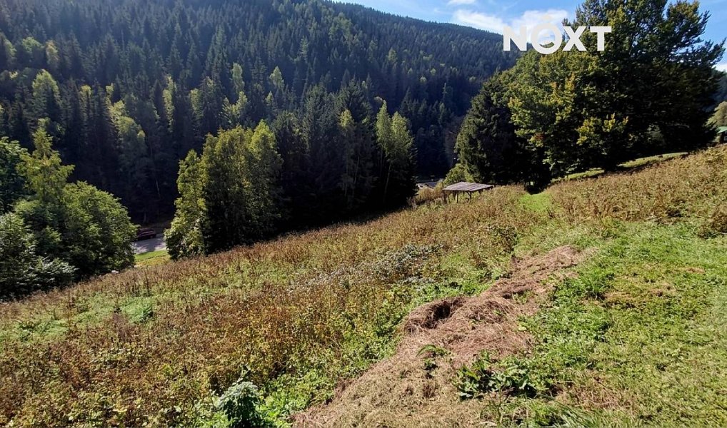 Prodej stavebního pozemku 4 273 m², Pec pod Sněžkou – náhled fotky 6