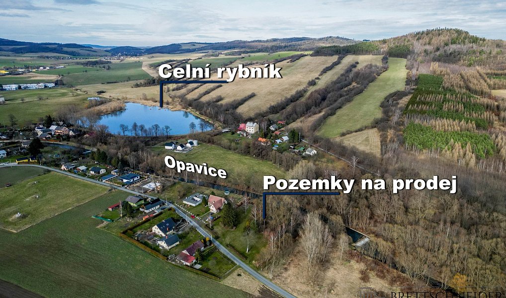Prodej zahrady 3 160 m², Město Albrechtice – náhled fotky 2