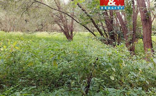 Prodej louky 682 m², Bystřice, okres Benešov