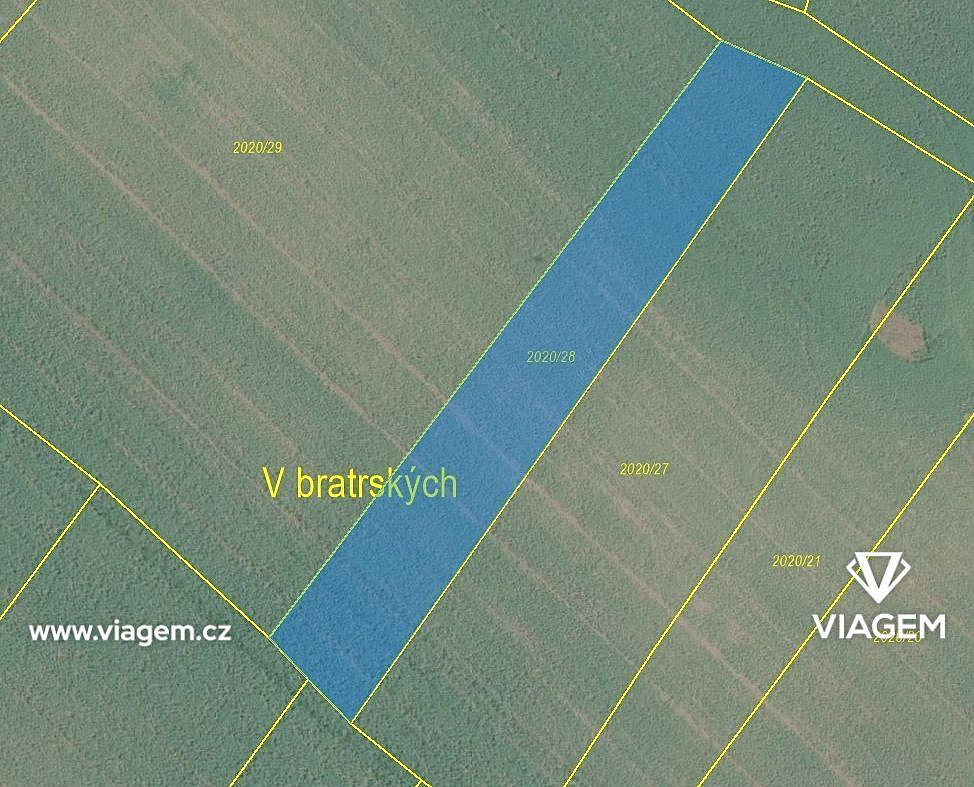 Prodej pole 1 543 m² – fotografie 3