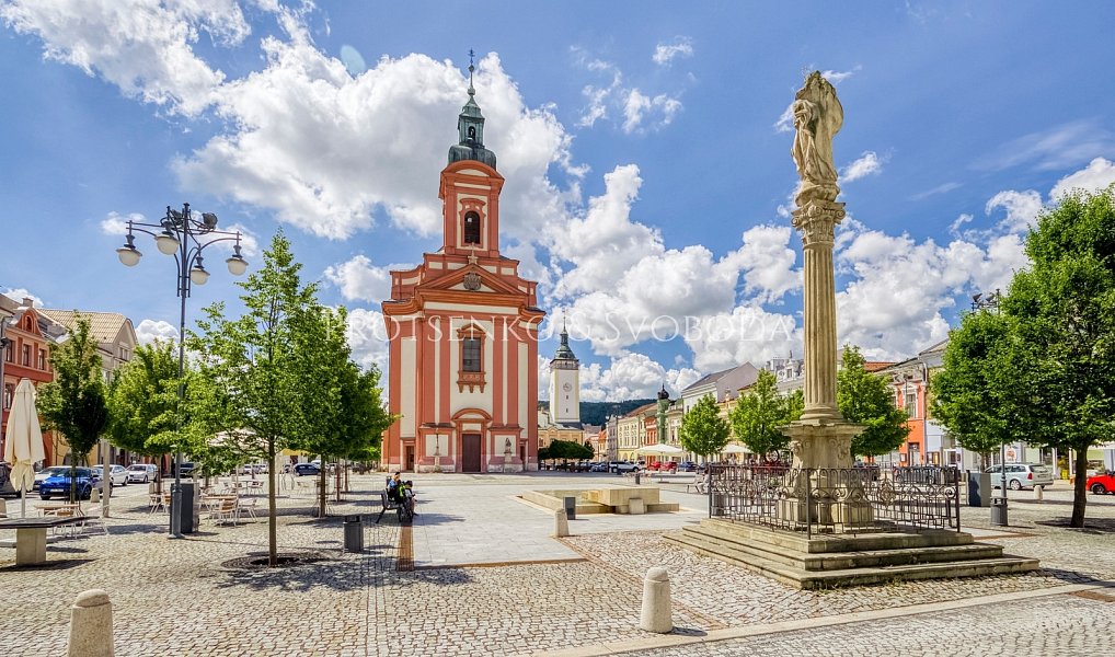 Prodej domu 219 m² s pozemkem 729 m², Hranice – náhled fotky 22