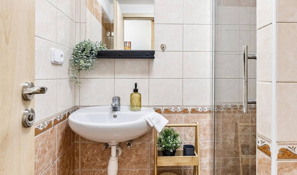 Prodej bytu 1+kk 26 m², Kubova Huť – náhled fotky 14