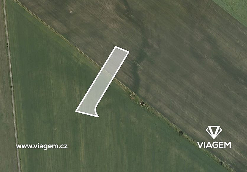 Prodej pole 1 655 m²
