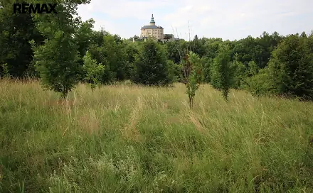 Prodej louky 25 331 m², Frýdlant, okres Liberec