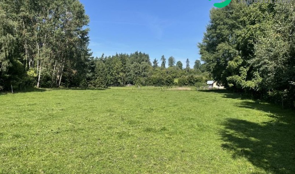 Prodej stavebního pozemku 3 805 m², Kolinec – náhled fotky 4