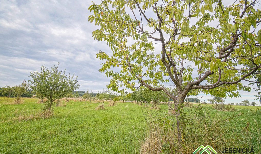 Prodej pole 16 809 m², Velké Kunětice – náhled fotky 4