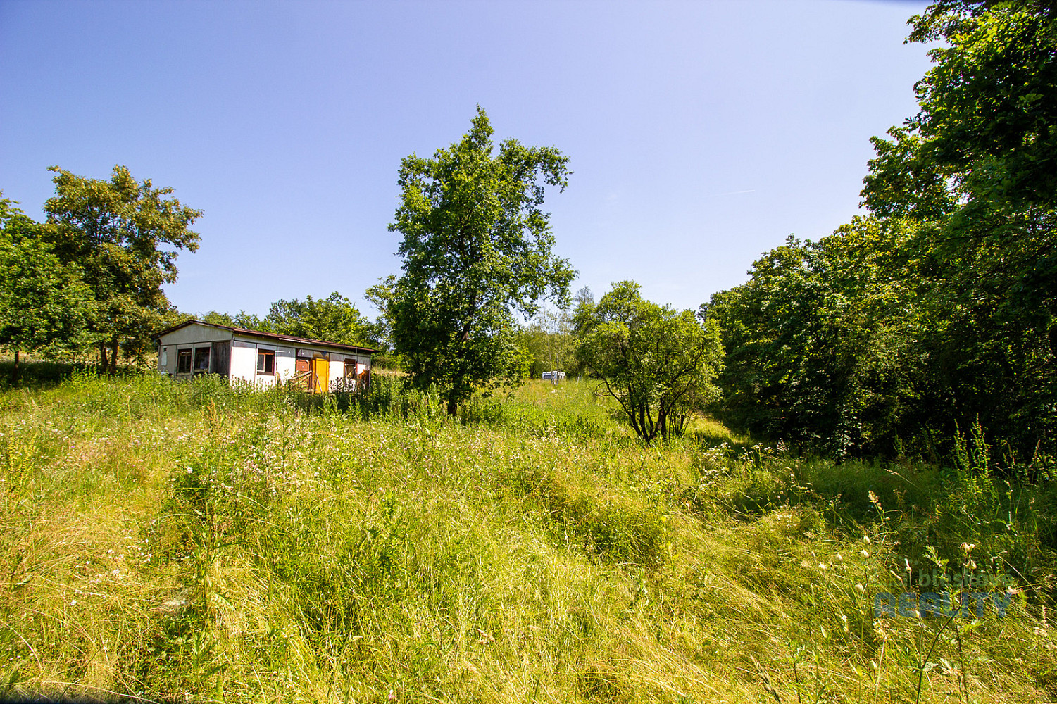 Prodej zahrady 10 599 m² – fotografie 3