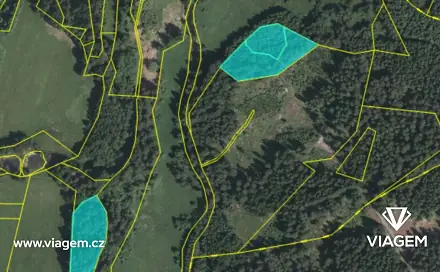 Prodej lesa 87 m², Malonty, okres Český Krumlov