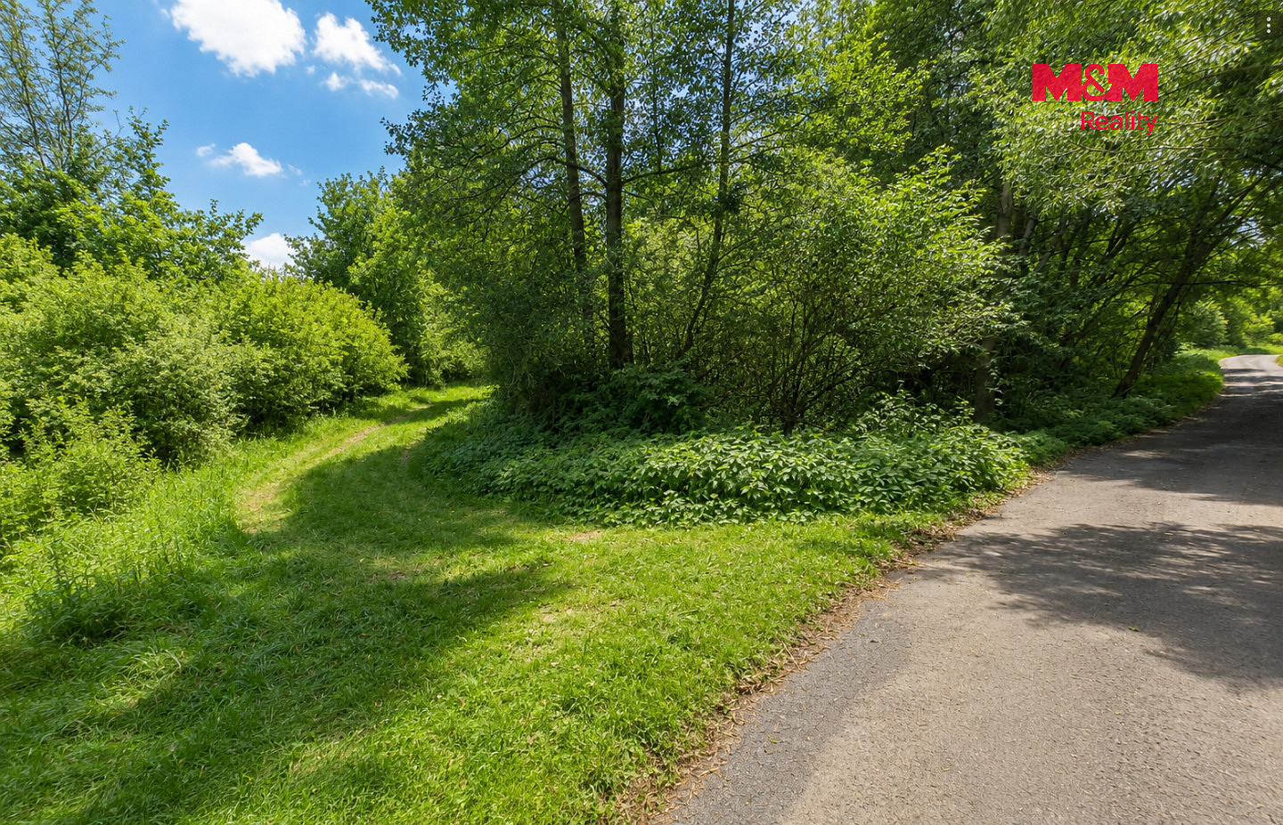 Prodej louky 4 863 m² — photo 4