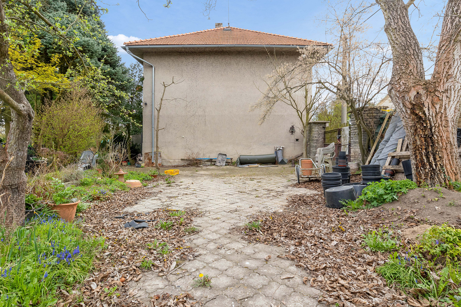 Prodej domu 260 m² s pozemkem 3 645 m² – fotografie 5