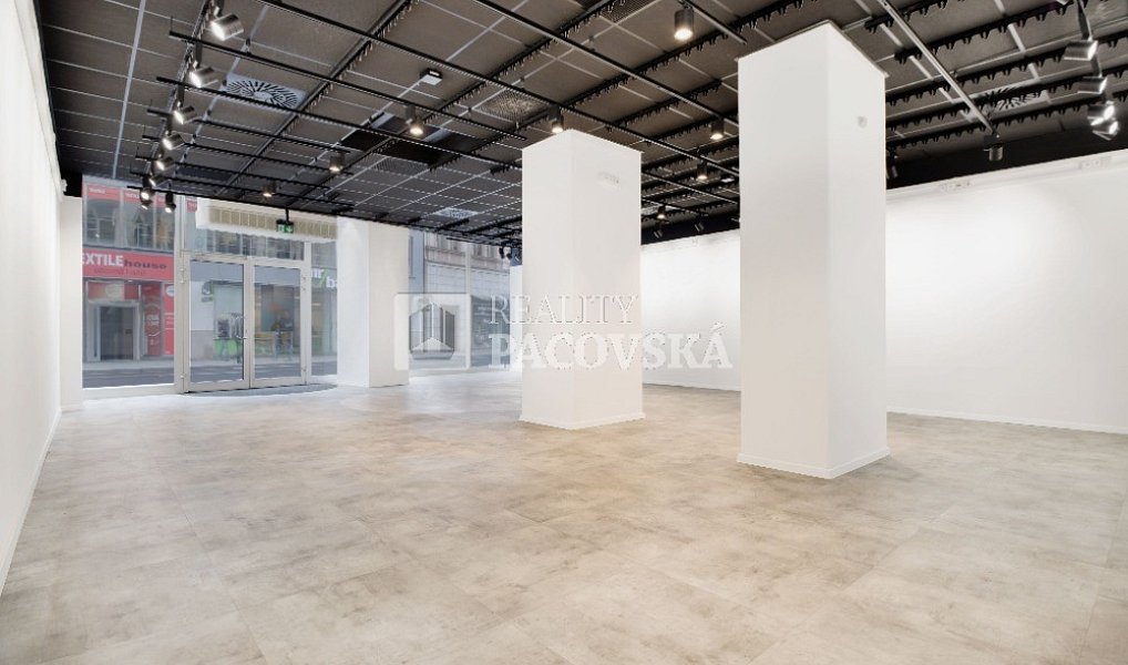 Pronájem obchodních prostor 210 m², Ústí nad Labem – náhled fotky 3