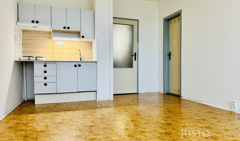 Pronájem bytu 1+kk 29 m², Praha – fotka 1 z 13