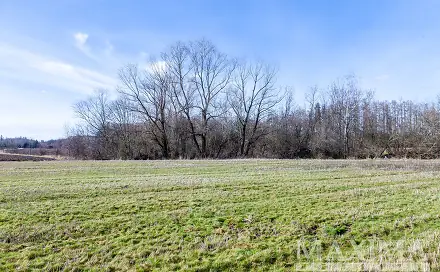 Prodej pozemku 5 987 m², Lesní, Úhonice, okres Praha-západ