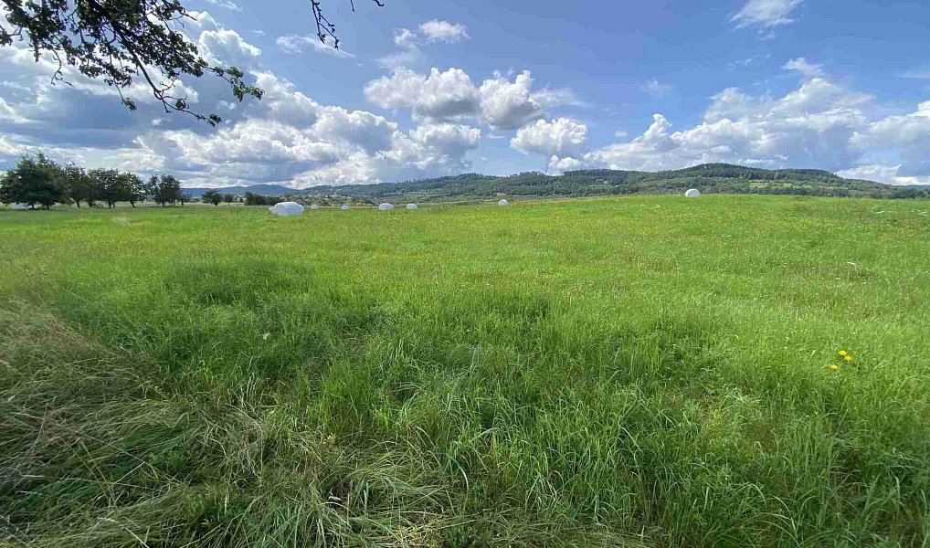 Prodej pole 55 481 m², Lhenice – náhled fotky 12