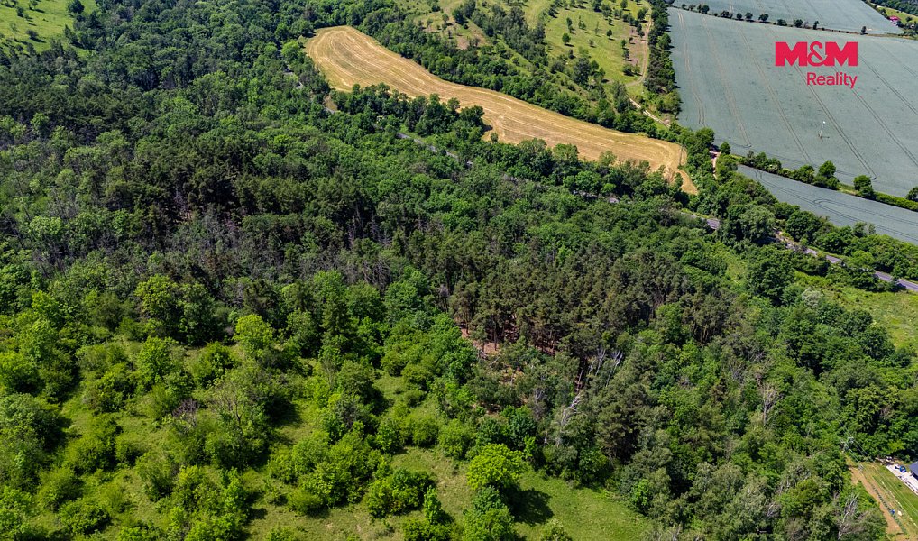 Prodej lesa 49 399 m², Libochovice – náhled fotky 9