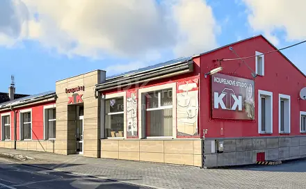 Pronájem komerčního objektu (jiného typu) 734 m², Pohraniční stráže, Velká Hleďsebe, okres Cheb