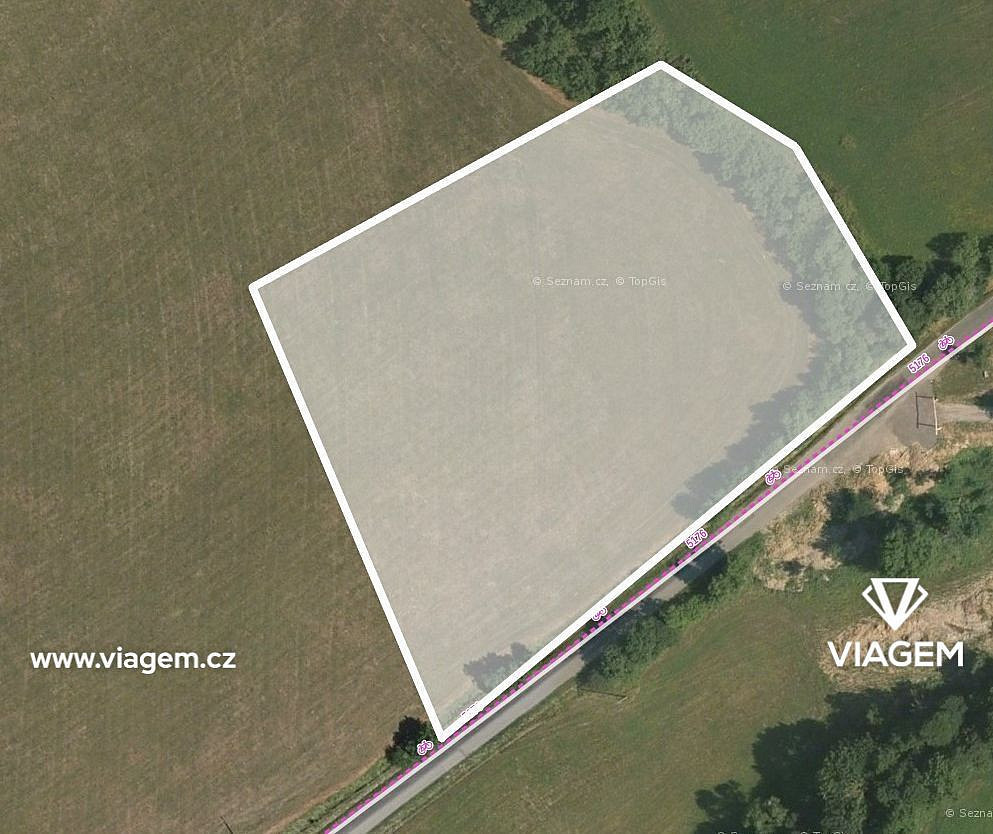 Prodej pole 4 234 m²