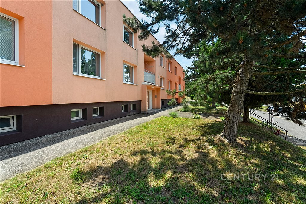 Prodej bytu 3+1 73 m² — photo 2