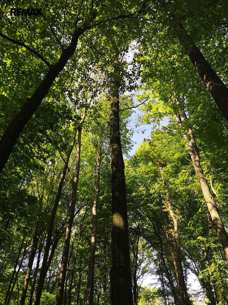 Prodej ubytovacího objektu 20 000 m² – fotografie 5