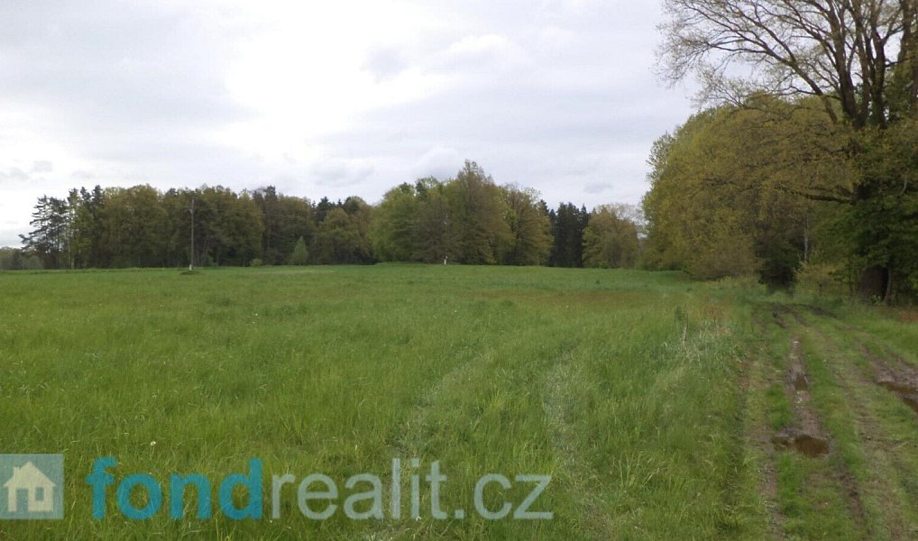 Prodej pole 20 140 m², Lásenice – náhled fotky 6