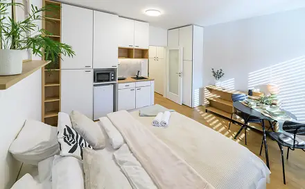 Pronájem bytu 1+kk 28 m², Cejl, Brno