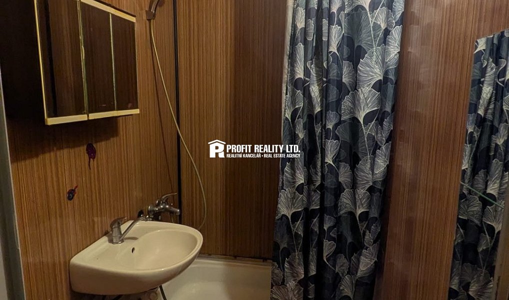 Pronájem bytu 2+kk 43 m², Praha – náhled fotky 6
