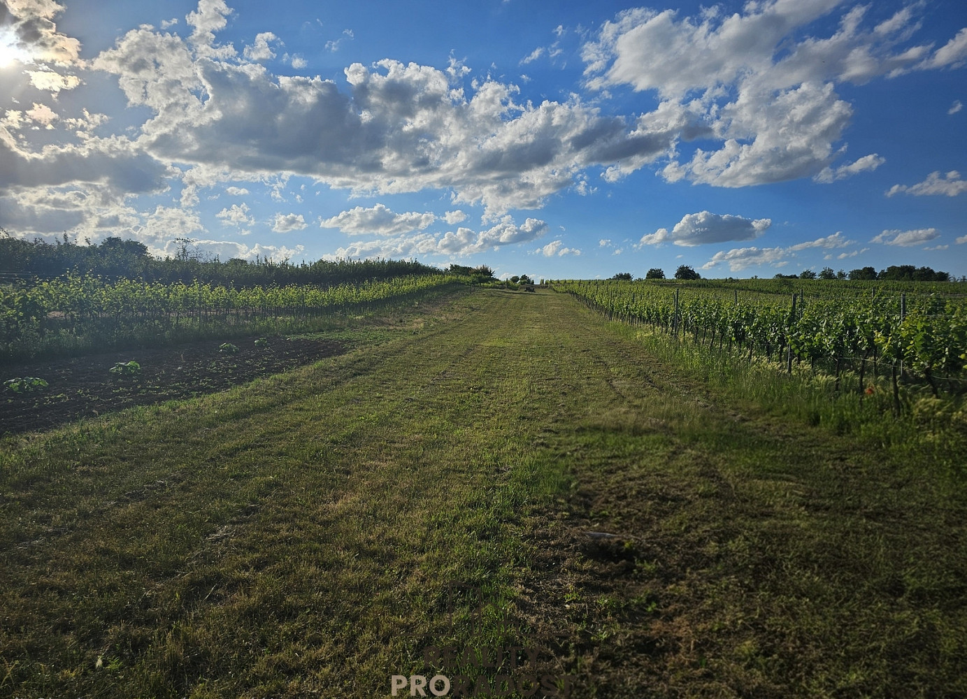 Prodej stavebního pozemku 800 m²