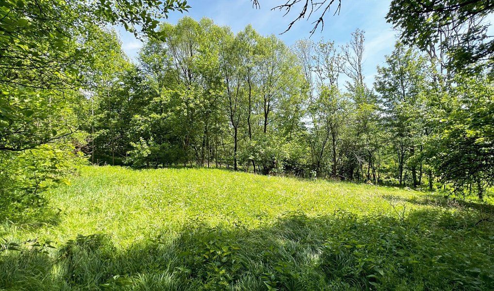 Prodej domu 109 m² s pozemkem 4 779 m², Klenčí pod Čerchovem – náhled fotky 16
