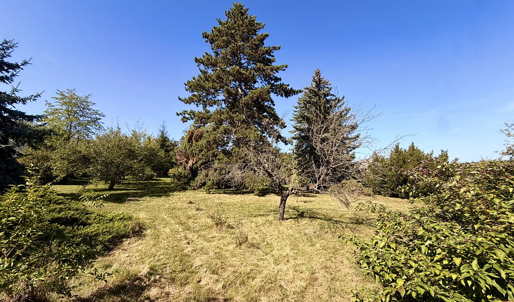 Prodej stavebního pozemku 1 510 m², Černolice – náhled fotky 11