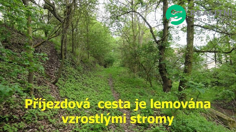 Fotka 7 z 12
