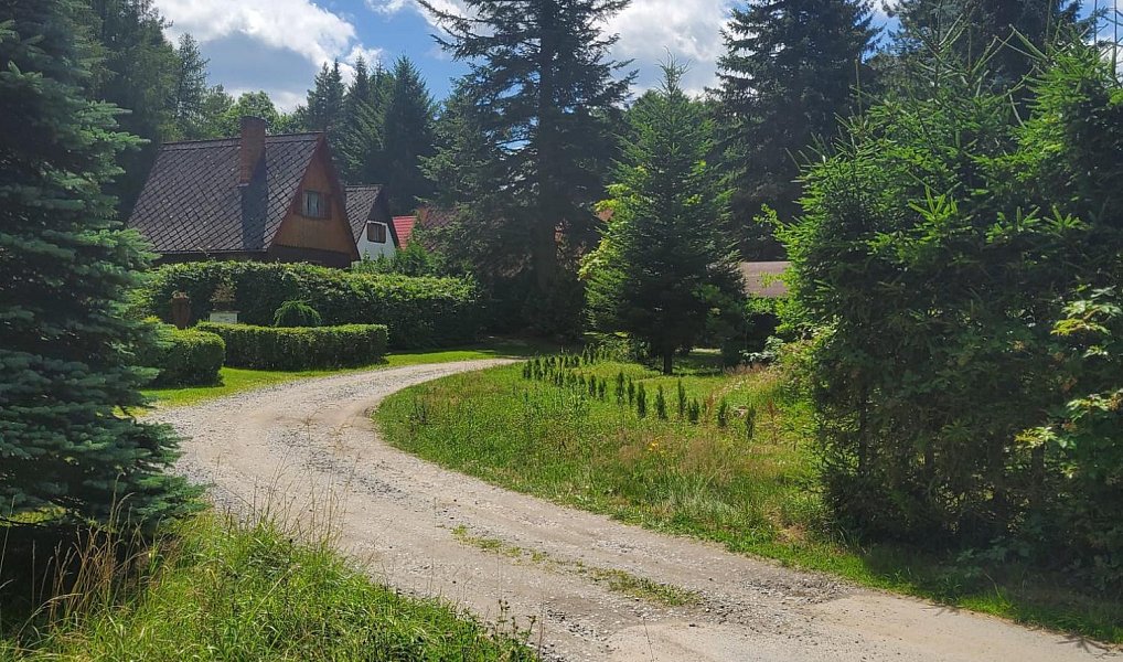 Prodej chaty/chalupy 60 m², Dřešín – náhled fotky 29