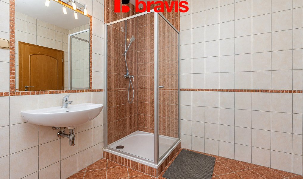 Pronájem domu 182 m² s pozemkem 60 m², Brno – náhled fotky 9