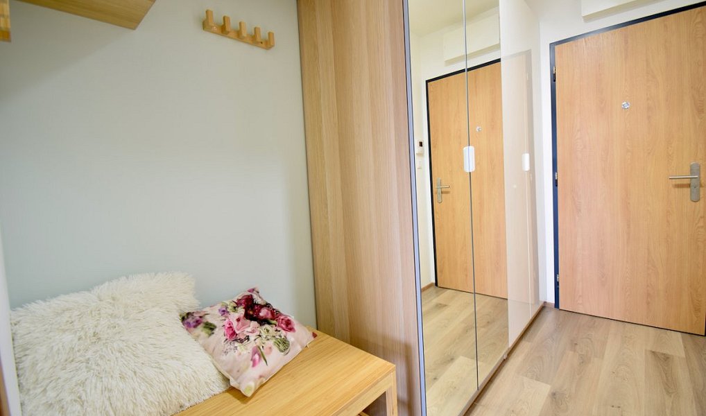 Pronájem bytu 1+kk 41 m², Olomouc – náhled fotky 15