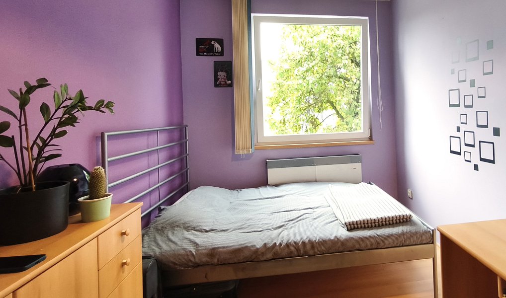 Prodej domu 285 m² s pozemkem 1 062 m², Ostrava – náhled fotky 37