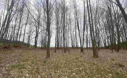 Prodej pozemku 4 837 m², Žinkovy, okres Plzeň-Jih