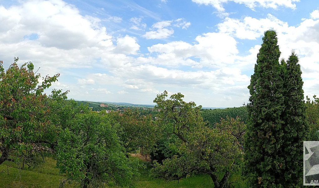 Prodej domu 56 m² s pozemkem 1 833 m², Dolní Kounice – náhled fotky 10