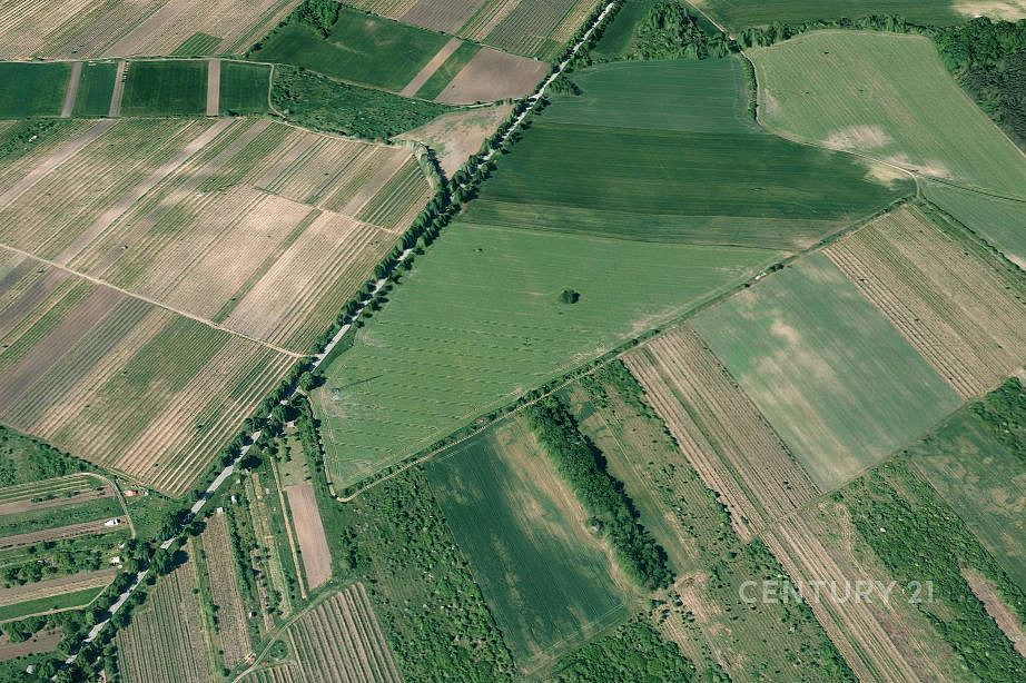 Prodej pole 4 498 m² – fotografie 3