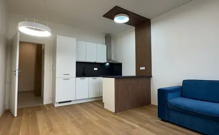 Pronájem bytu 1+kk 34 m², Černokostelecká, Praha 10 - Strašnice