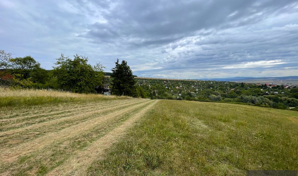 Prodej zahrady 707 m², Uherský Brod – náhled fotky 8