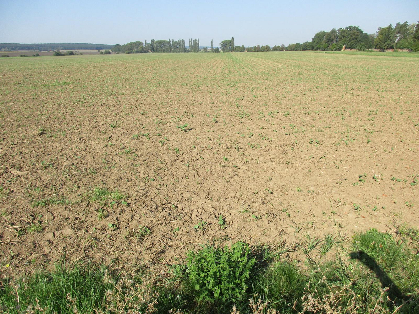Prodej pole 7 913 m² – fotografie 5