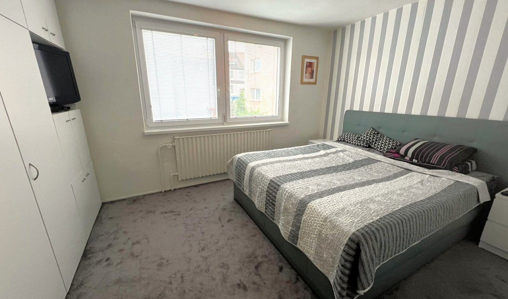 Prodej domu 328 m² s pozemkem 438 m², Jihlava – náhled fotky 13