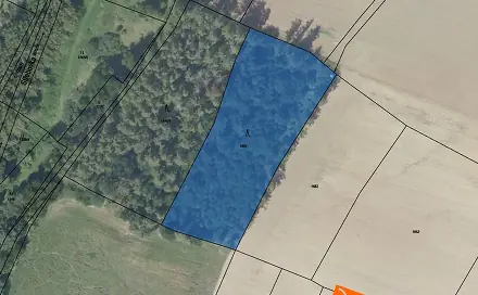 Prodej lesa 13 811 m², Ždánice, okres Kolín
